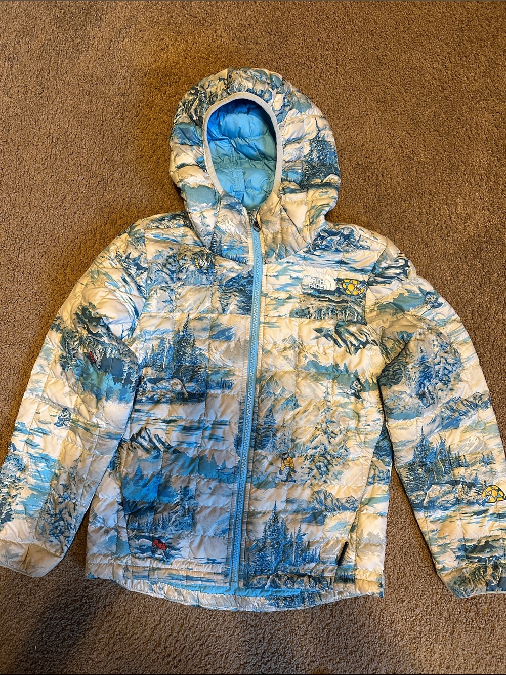 The North Face Kids Blue and White Puffer Jacket with Hood